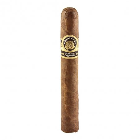 Trabucuri Joya de Nicaragua Rosalones 654 Gran Toro 20