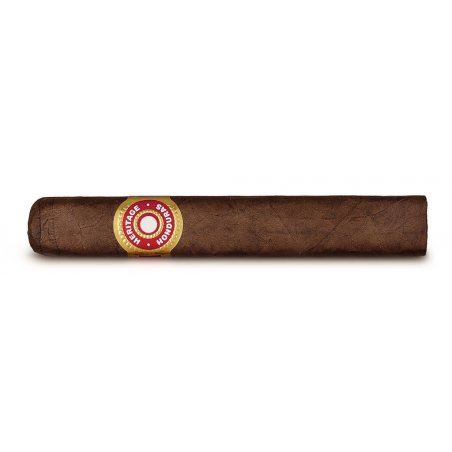 Trabucuri Dunhill Heritage Robusto 10