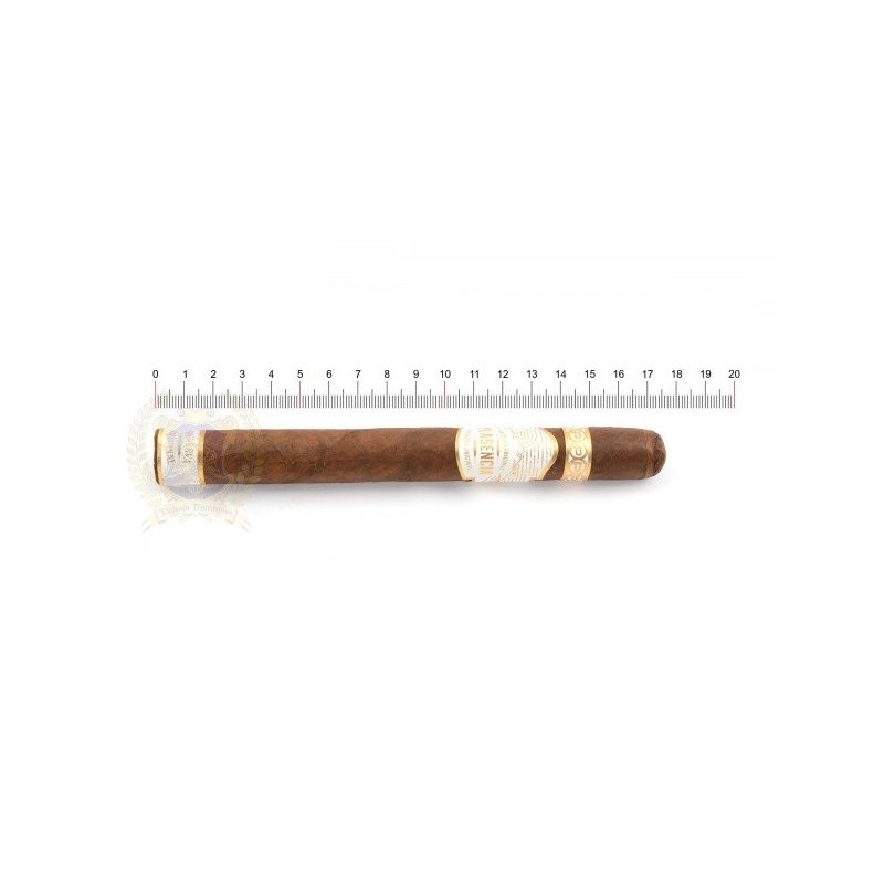 Trabucuri Plasencia Reserva Organica Churchill 10