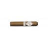 Trabucuri Davidoff Aniversario Special R Robusto 4