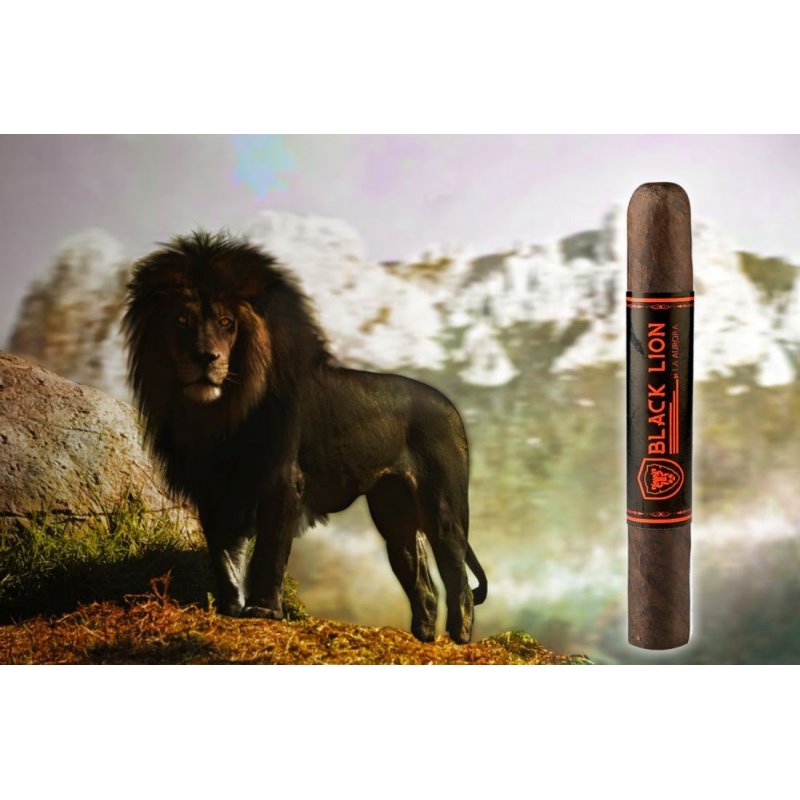 Trabucuri La Aurora Black Lion Maduro Robusto 25