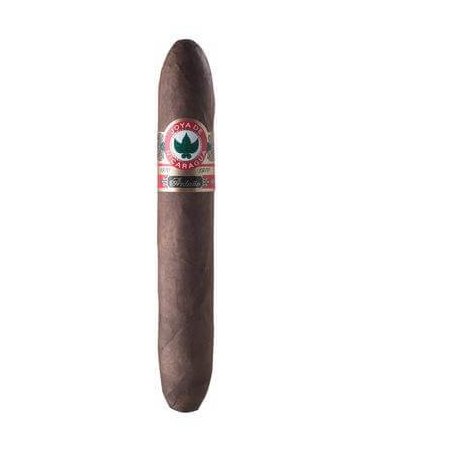 Trabucuri Joya de Nicaragua Antano 1970 Gran Perfecto 20