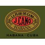 La Flor de Cana