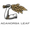 Aganorsa Leaf
