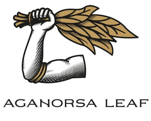 Aganorsa Leaf